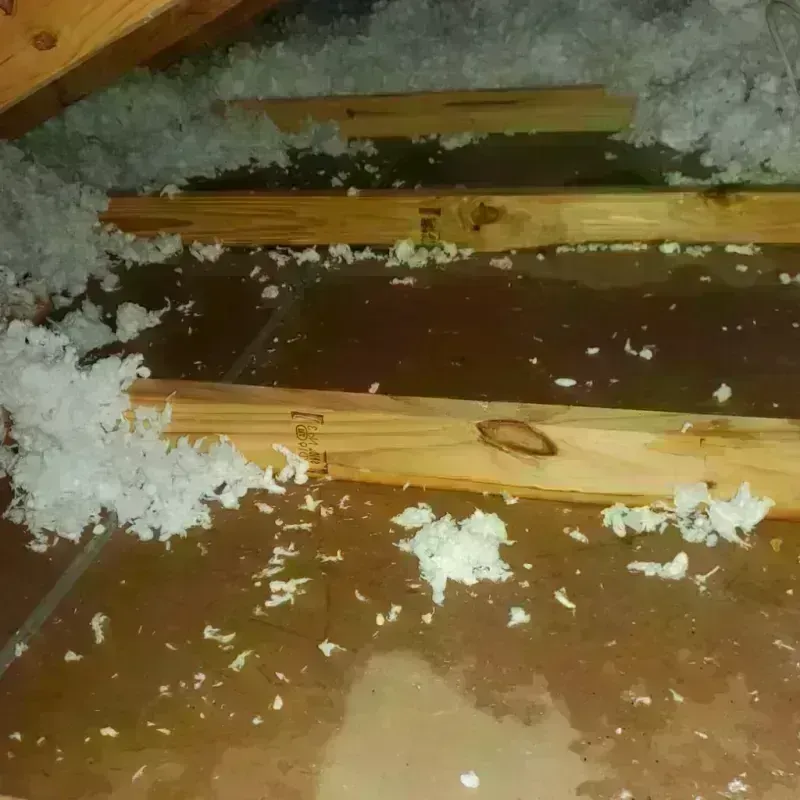 Attic Water Damage in Worth County, IA