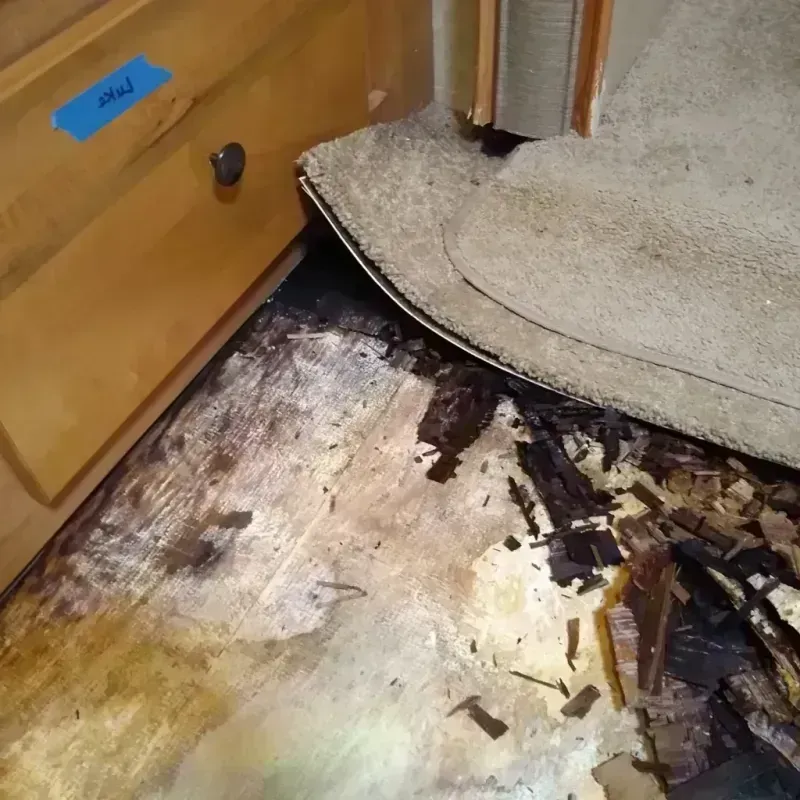 Best Wood Floor Water Damage Service in Worth County, IA